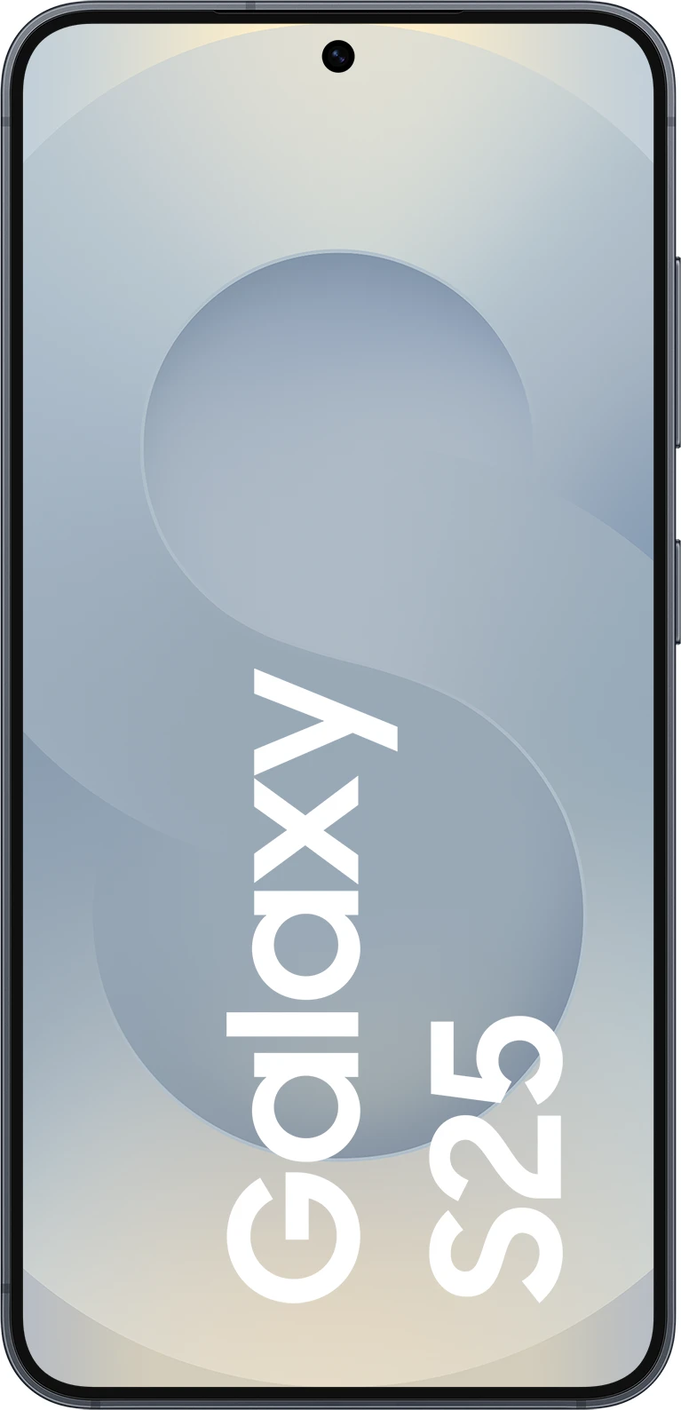 Samsung Galaxy S25 128 GB Blueblack